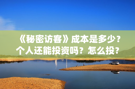 《秘密访客》成本是多少？个人还能投资吗？怎么投？(秘密访客到底演了什么)