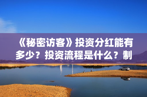 《秘密访客》投资分红能有多少？投资流程是什么？制作成本是多少？(《秘密访客》投资多少钱)