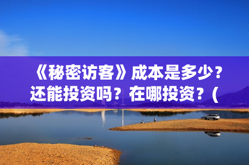 《秘密访客》成本是多少？还能投资吗？在哪投资？(秘密访客完整剧情)