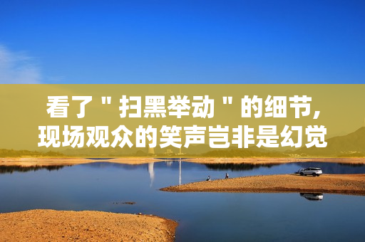 看了＂扫黑举动＂的细节,现场观众的笑声岂非是幻觉