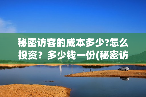 秘密访客的成本多少?怎么投资？多少钱一份(秘密访客的意义)