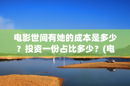电影世间有她的成本是多少？投资一份占比多少？(电影 世间有她)