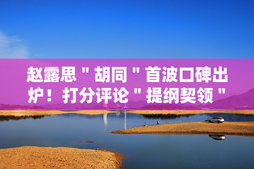 赵露思＂胡同＂首波口碑出炉！打分评论＂提纲契领＂