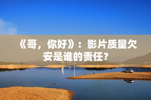 《哥，你好》：影片质量欠安是谁的责任？