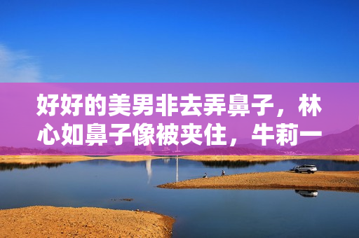好好的美男非去弄鼻子，林心如鼻子像被夹住，牛莉一个鼻孔两个大