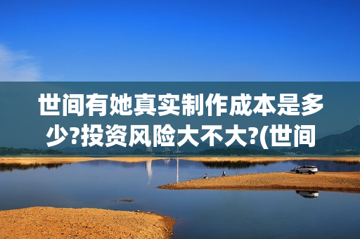世间有她真实制作成本是多少?投资风险大不大?(世间有她主角)