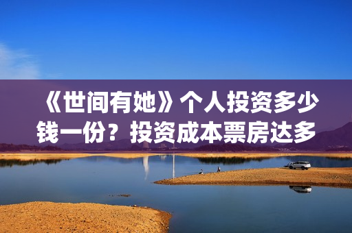 《世间有她》个人投资多少钱一份？投资成本票房达多少回本？(世间有她女主角)