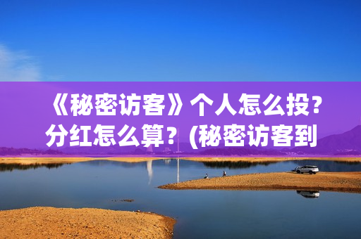 《秘密访客》个人怎么投？分红怎么算？(秘密访客到底演了个啥)