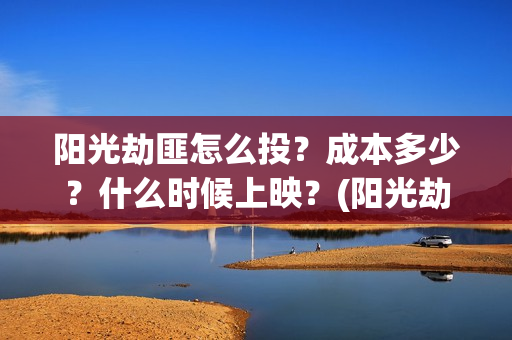 阳光劫匪怎么投？成本多少？什么时候上映？(阳光劫匪在哪里)