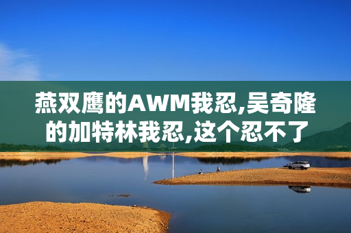 燕双鹰的AWM我忍,吴奇隆的加特林我忍,这个忍不了