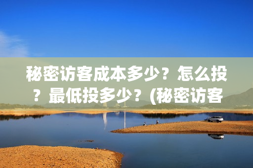 秘密访客成本多少？怎么投？最低投多少？(秘密访客有多久)