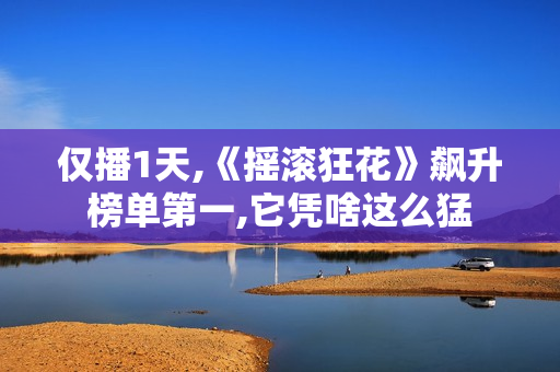 仅播1天,《摇滚狂花》飙升榜单第一,它凭啥这么猛