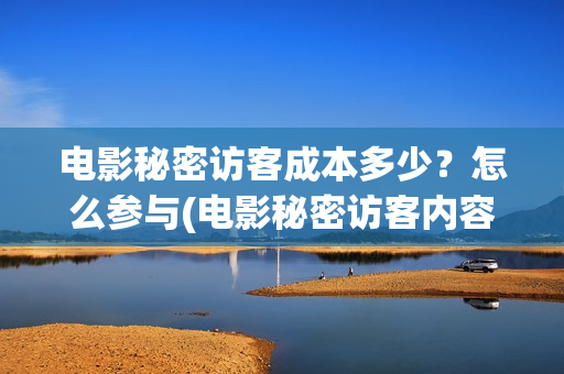 电影秘密访客成本多少？怎么参与(电影秘密访客内容)