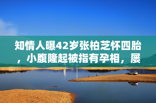 知情人曝42岁张柏芝怀四胎，小腹隆起被指有孕相，屡次称想要女儿