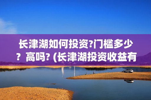长津湖如何投资?门槛多少？高吗? (长津湖投资收益有多少)
