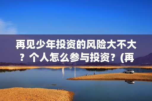 再见少年投资的风险大不大？个人怎么参与投资？(再见少年投资方)