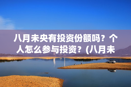 八月未央有投资份额吗？个人怎么参与投资？(八月未央总投资)