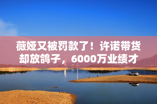 薇娅又被罚款了！许诺带货却放鸽子，6000万业绩才做了223万