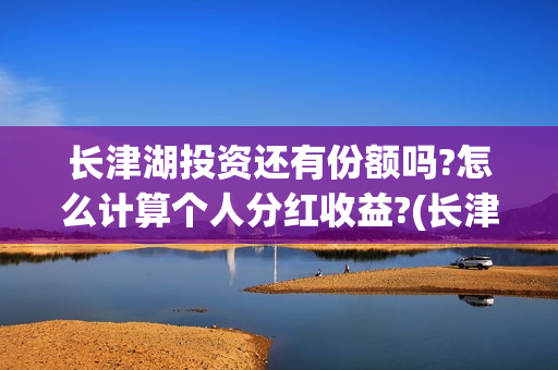 长津湖投资还有份额吗?怎么计算个人分红收益?(长津湖最大投资方)