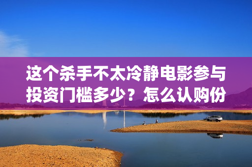 这个杀手不太冷静电影参与投资门槛多少？怎么认购份额？(这个杀手不太冷静)