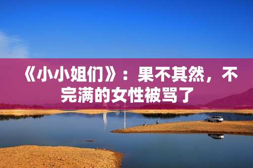 《小小姐们》：果不其然，不完满的女性被骂了