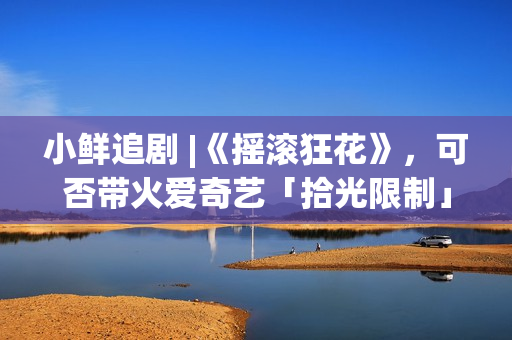 小鲜追剧 |《摇滚狂花》，可否带火爱奇艺「拾光限制」？