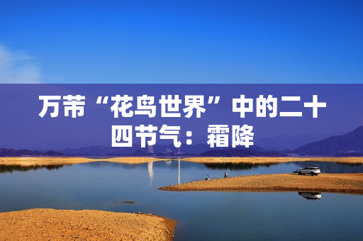 万芾“花鸟世界”中的二十四节气：霜降