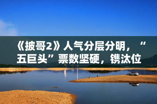 《披哥2》人气分层分明，“五巨头”票数坚硬，镌汰位了如指掌