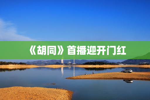 《胡同》首播迎开门红 《胡同》首播迎开门红