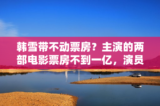 韩雪带不动票房?主演的两部电影票房不到一亿,演员不是首要成绩 韩雪带不动票房?主演的两部电影票房不到一亿,演员不是首要成绩