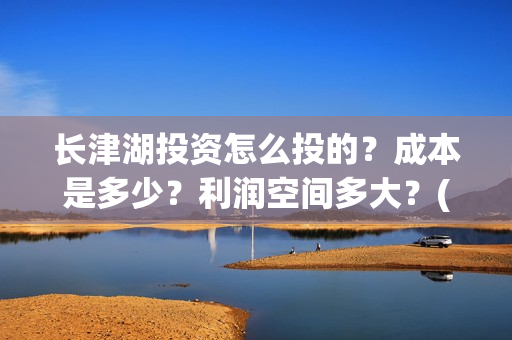 长津湖投资怎么投的？成本是多少？利润空间多大？(长津湖投资收益)