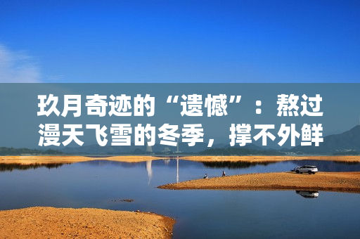 玖月奇迹的“遗憾”：熬过漫天飞雪的冬季，撑不外鲜花灿烂的炎天