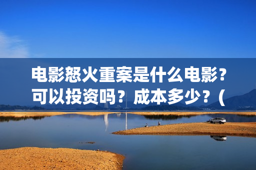 电影怒火重案是什么电影？可以投资吗？成本多少？(电影怒火重案是真实的吗)