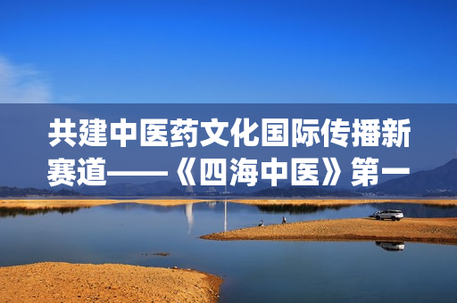 共建中医药文化国际传播新赛道——《四海中医》第一季成果研讨会在京举行(中医药文化建设内容) 共建中医药文化国际传播新赛道——《四海中医》第一季成果研讨会在京举行(中医药文化建设内容)