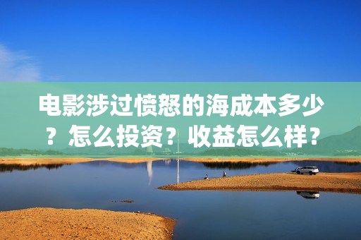电影涉过愤怒的海成本多少？怎么投资？收益怎么样？(电影涉过愤怒的海观后感)