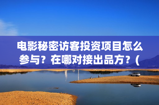 电影秘密访客投资项目怎么参与？在哪对接出品方？(电影 秘密访客)