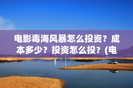 电影毒海风暴怎么投资？成本多少？投资怎么投？(电影《毒海风暴》)