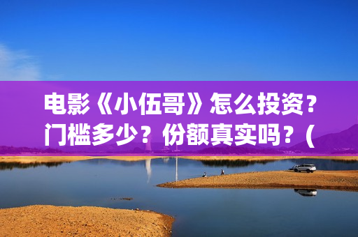 电影《小伍哥》怎么投资？门槛多少？份额真实吗？(小伍哥在线观看)