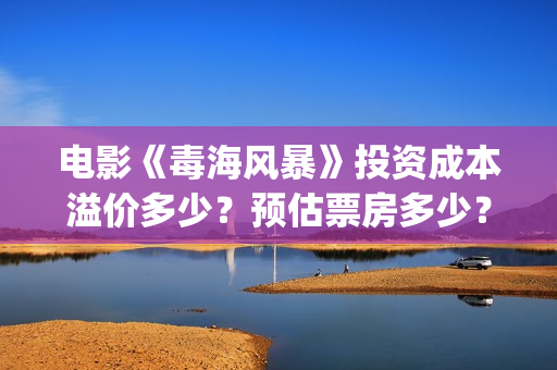 电影《毒海风暴》投资成本溢价多少？预估票房多少？怎么投资? (电影《毒海风暴》在线观看)