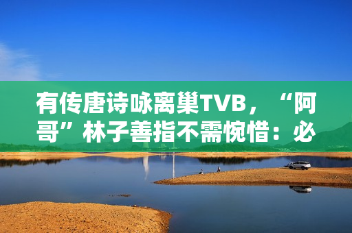 有传唐诗咏离巢TVB,“阿哥”林子善指不需惋惜:必然支撑 有传唐诗咏离巢TVB,“阿哥”林子善指不需惋惜:必然支撑