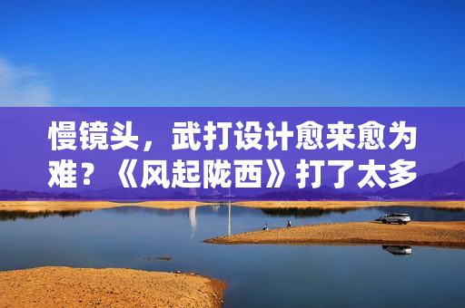 慢镜头，武打设计愈来愈为难？《风起陇西》打了太多人的“脸”