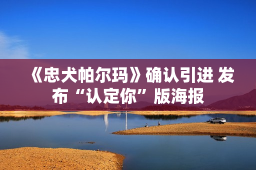 《忠犬帕尔玛》确认引进 发布“认定你”版海报 《忠犬帕尔玛》确认引进 发布“认定你”版海报