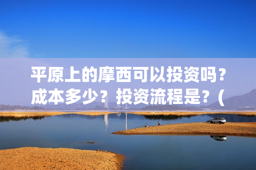 平原上的摩西可以投资吗？成本多少？投资流程是？(平原上的摩西有几个故事)
