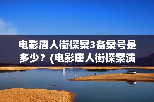 电影唐人街探案3备案号是多少？(电影唐人街探案演员表)