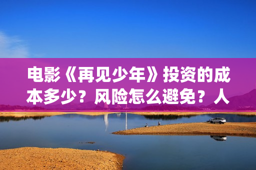电影《再见少年》投资的成本多少？风险怎么避免？人人都可以做吗？(《再见少年》)