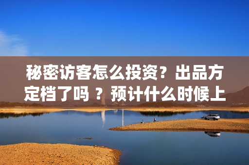 秘密访客怎么投资？出品方定档了吗 ？预计什么时候上映？(秘密访客访客)