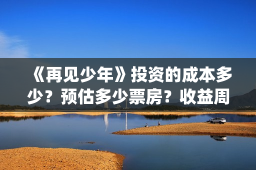 《再见少年》投资的成本多少？预估多少票房？收益周期多久？(再见少年电影出品方)