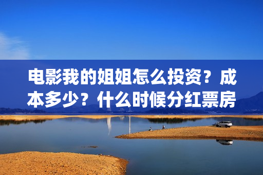 电影我的姐姐怎么投资?成本多少?什么时候分红票房?(我的姐姐标清) 电影我的姐姐怎么投资?成本多少?什么时候分红票房?(我的姐姐标清)