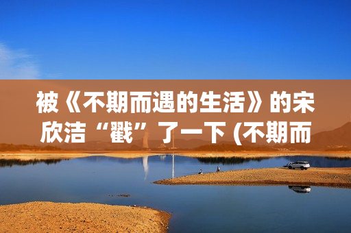 被《不期而遇的生活》的宋欣洁“戳”了一下 (不期而遇的作者)