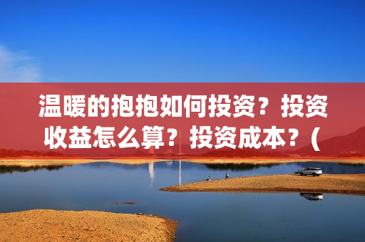 温暖的抱抱如何投资？投资收益怎么算？投资成本？(温暖的抱抱太尴尬)